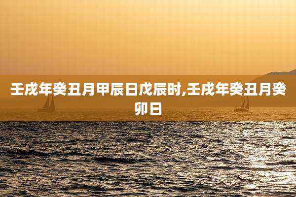 壬戌年癸丑月甲辰日戊辰时,壬戌年癸丑月癸卯日
