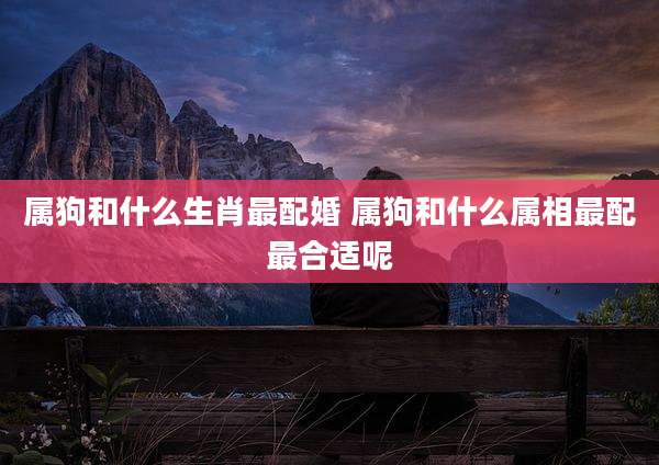 属狗和什么生肖最配婚 属狗和什么属相最配最合适呢