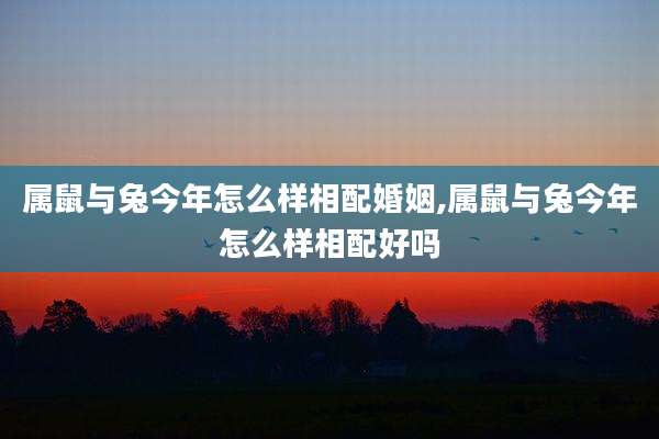 属鼠与兔今年怎么样相配婚姻,属鼠与兔今年怎么样相配好吗