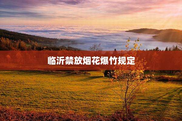 临沂禁放烟花爆竹规定