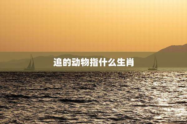 追的动物指什么生肖