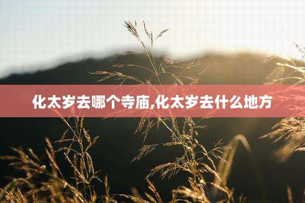 化太岁去哪个寺庙,化太岁去什么地方