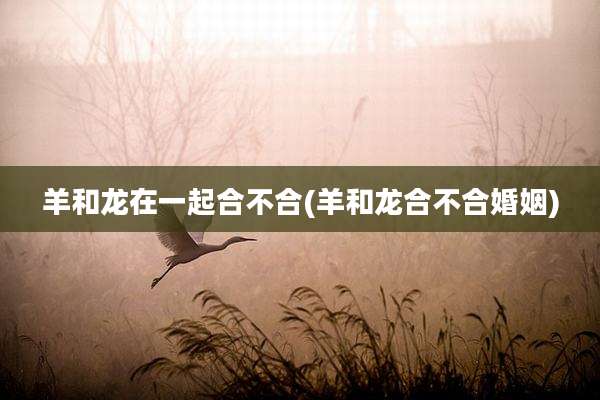 羊和龙在一起合不合(羊和龙合不合婚姻)