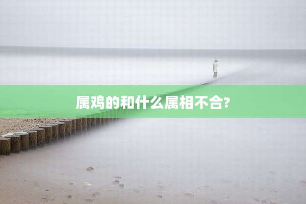 属鸡的和什么属相不合?