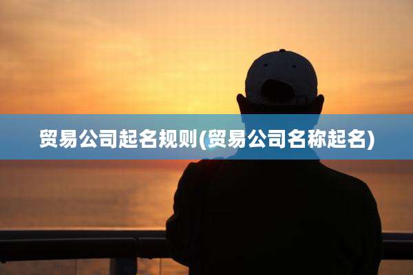 贸易公司起名规则(贸易公司名称起名)