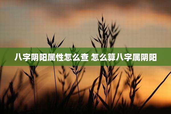 八字阴阳属性怎么查 怎么算八字属阴阳