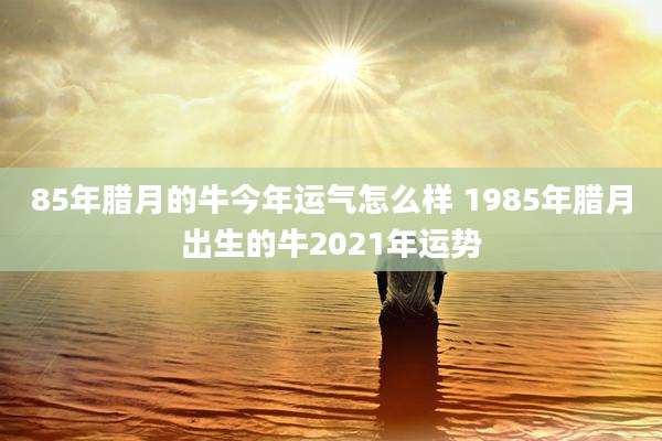 85年腊月的牛今年运气怎么样 1985年腊月出生的牛2021年运势