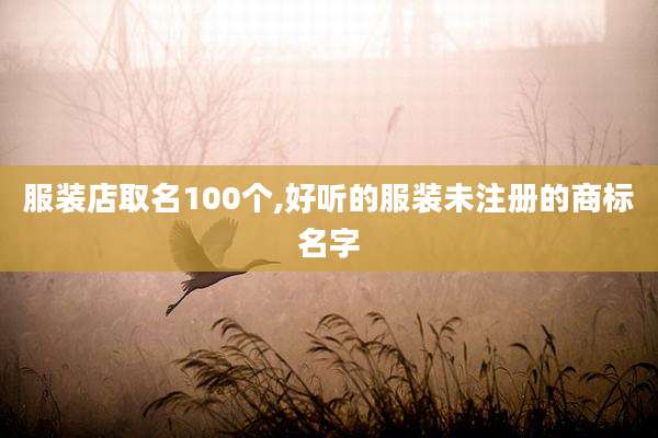 服装店取名100个,好听的服装未注册的商标名字