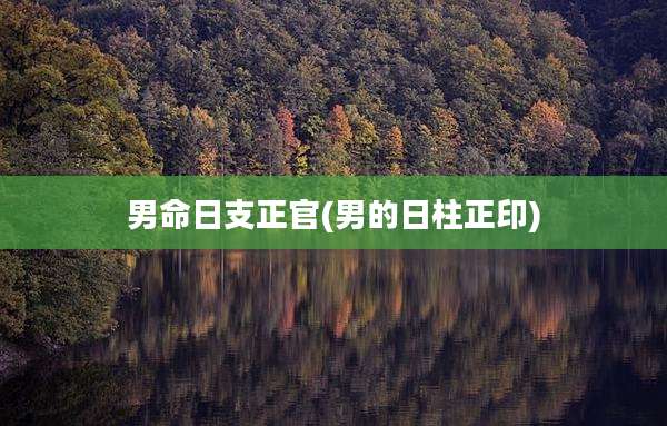 男命日支正官(男的日柱正印)