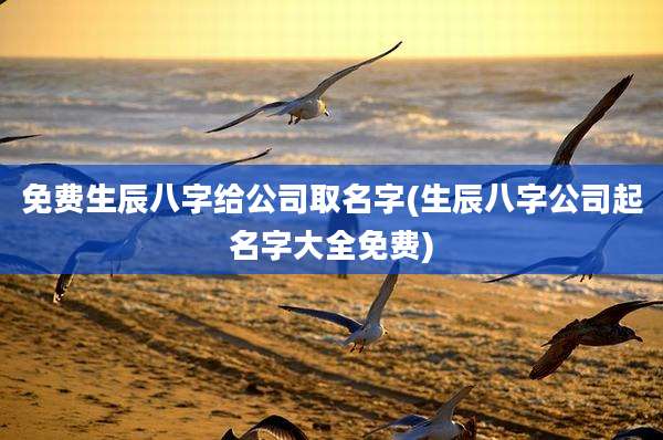 免费生辰八字给公司取名字(生辰八字公司起名字大全免费)
