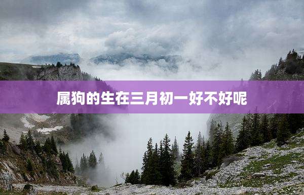属狗的生在三月初一好不好呢