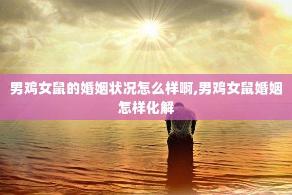 男鸡女鼠的婚姻状况怎么样啊,男鸡女鼠婚姻怎样化解