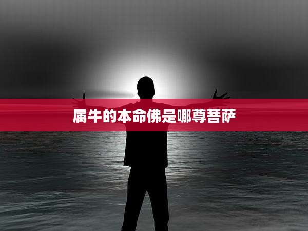属牛的本命佛是哪尊菩萨