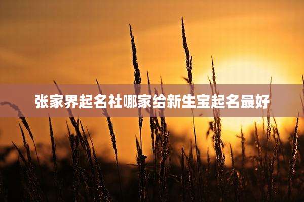张家界起名社哪家给新生宝起名最好