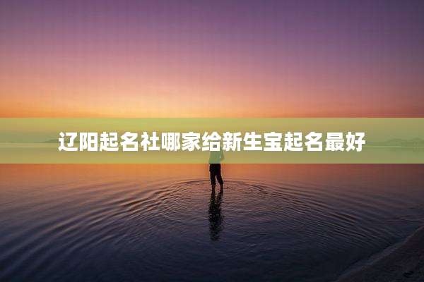 辽阳起名社哪家给新生宝起名最好