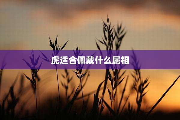 虎适合佩戴什么属相