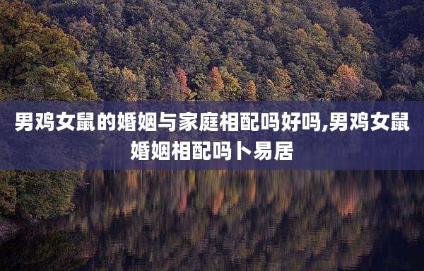 男鸡女鼠的婚姻与家庭相配吗好吗,男鸡女鼠婚姻相配吗卜易居