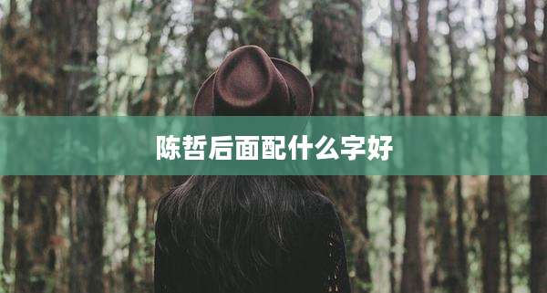 陈哲后面配什么字好