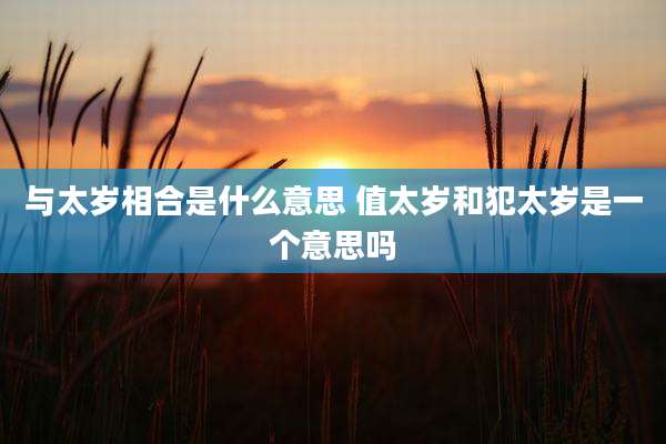 与太岁相合是什么意思 值太岁和犯太岁是一个意思吗