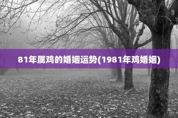 81年属鸡的婚姻运势(1981年鸡婚姻)