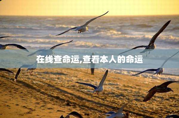 在线查命运,查看本人的命运