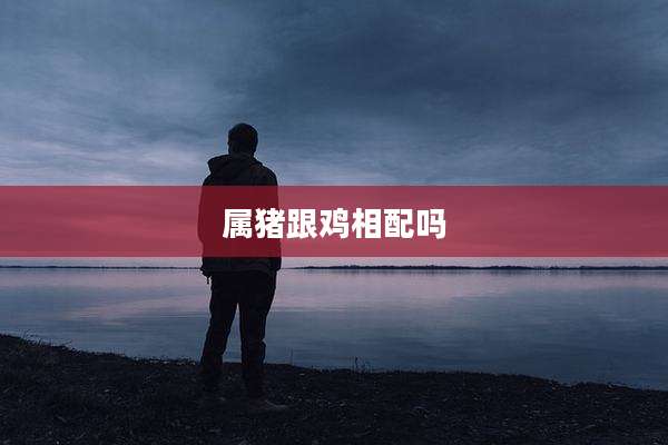 属猪跟鸡相配吗
