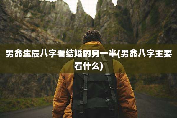 男命生辰八字看结婚的另一半(男命八字主要看什么)