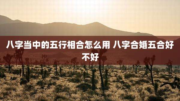 八字当中的五行相合怎么用 八字合婚五合好不好