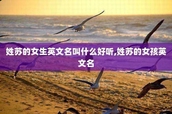 姓苏的女生英文名叫什么好听,姓苏的女孩英文名