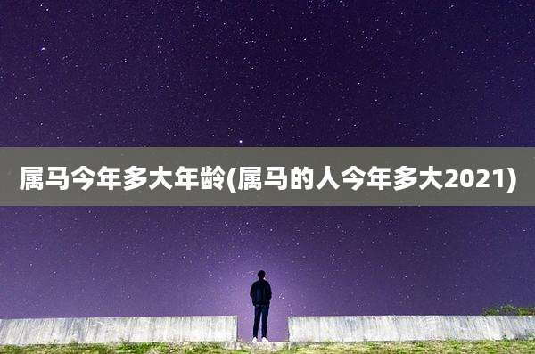 属马今年多大年龄(属马的人今年多大2021)