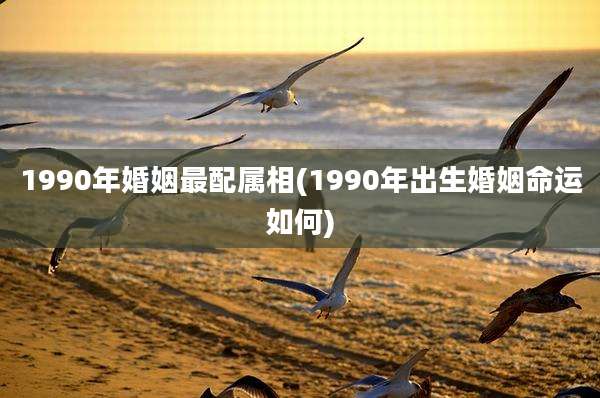 1990年婚姻最配属相(1990年出生婚姻命运如何)