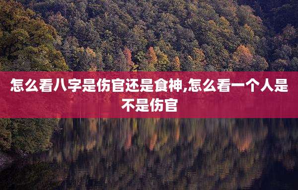 怎么看八字是伤官还是食神,怎么看一个人是不是伤官
