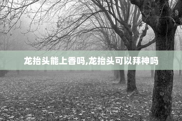 龙抬头能上香吗,龙抬头可以拜神吗
