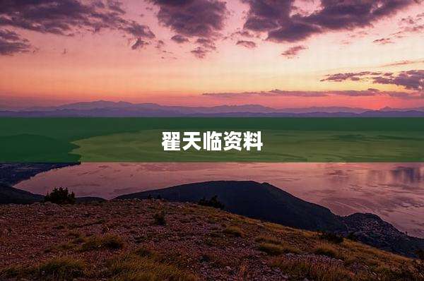 翟天临资料