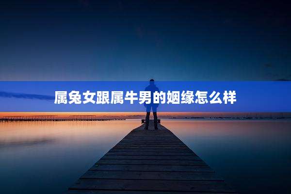 属兔女跟属牛男的姻缘怎么样