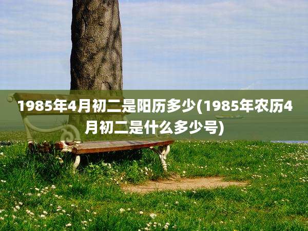 1985年4月初二是阳历多少(1985年农历4月初二是什么多少号)