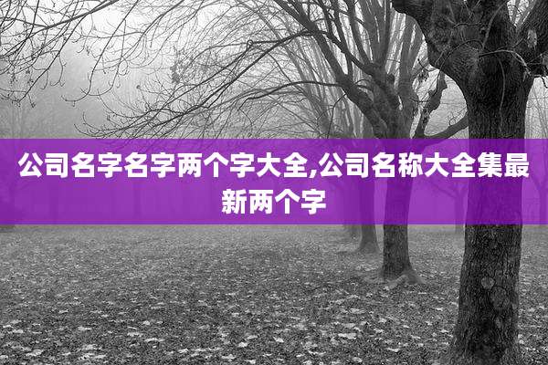 公司名字名字两个字大全,公司名称大全集最新两个字