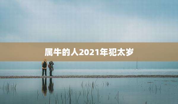 属牛的人2021年犯太岁