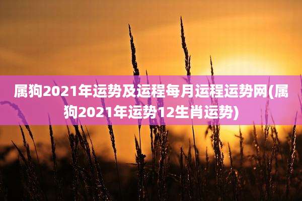 属狗2021年运势及运程每月运程运势网(属狗2021年运势12生肖运势)