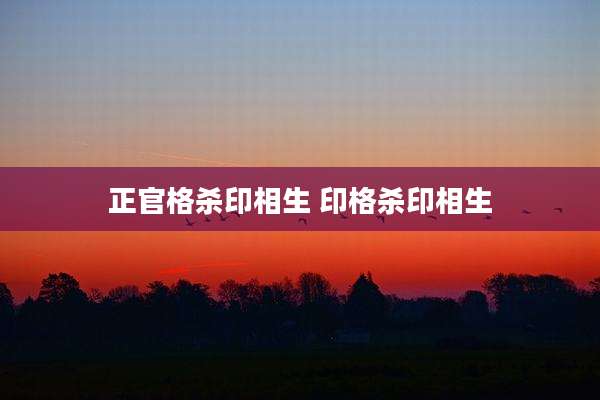 正官格杀印相生 印格杀印相生