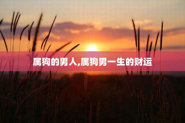 属狗的男人,属狗男一生的财运