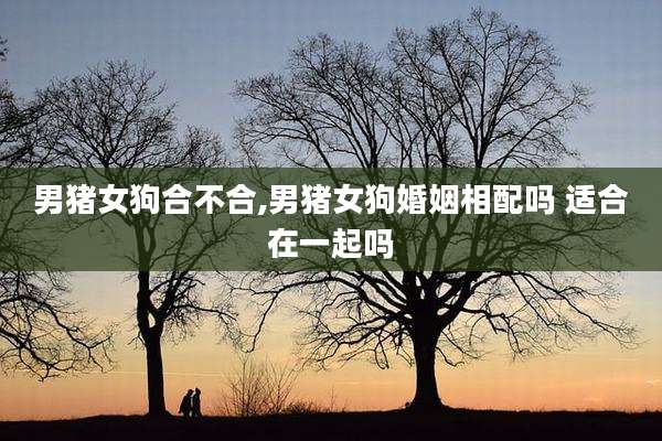 男猪女狗合不合,男猪女狗婚姻相配吗 适合在一起吗
