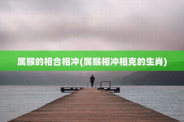 属猴的相合相冲(属猴相冲相克的生肖)