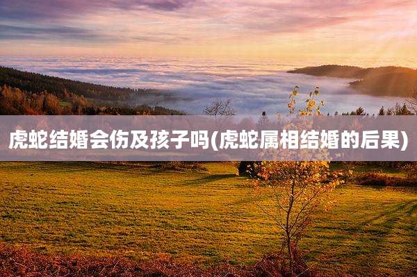 虎蛇结婚会伤及孩子吗(虎蛇属相结婚的后果)