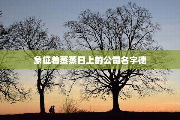 象征着蒸蒸日上的公司名字德