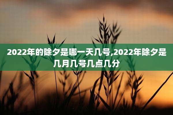 2022年的除夕是哪一天几号,2022年除夕是几月几号几点几分