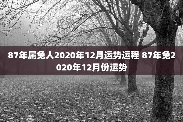 87年属兔人2020年12月运势运程 87年兔2020年12月份运势
