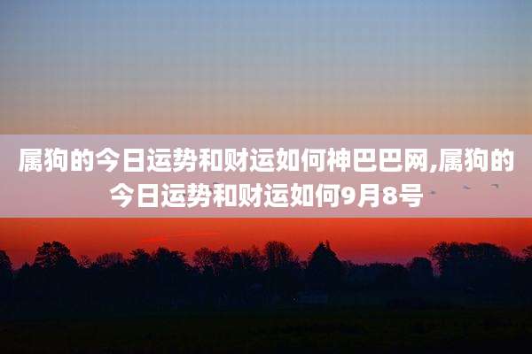 属狗的今日运势和财运如何神巴巴网,属狗的今日运势和财运如何9月8号