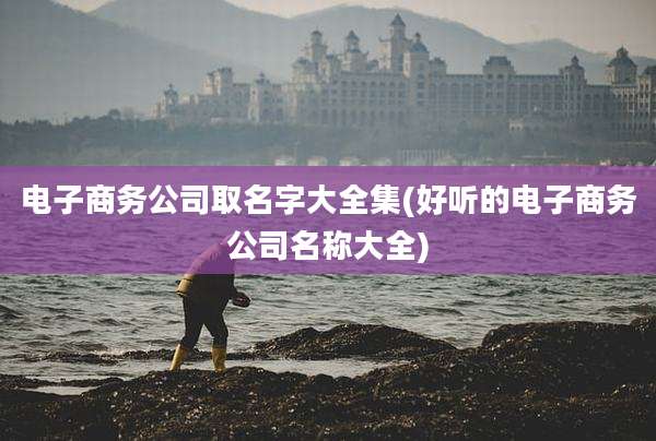 电子商务公司取名字大全集(好听的电子商务公司名称大全)