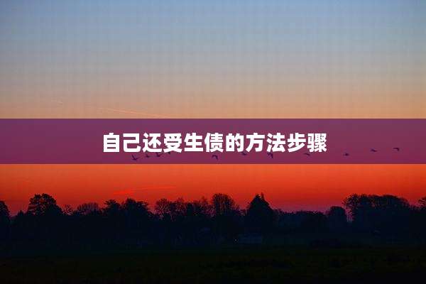 自己还受生债的方法步骤